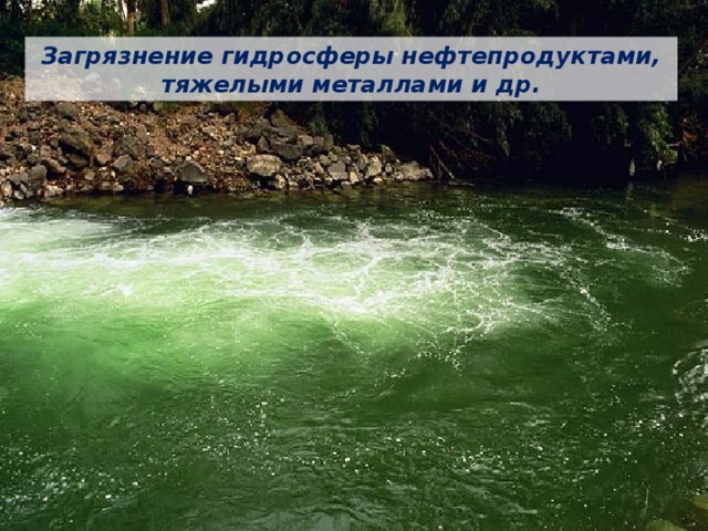 Загрязнение гидросферы нефтепродуктами, тяжелыми металлами и др. 