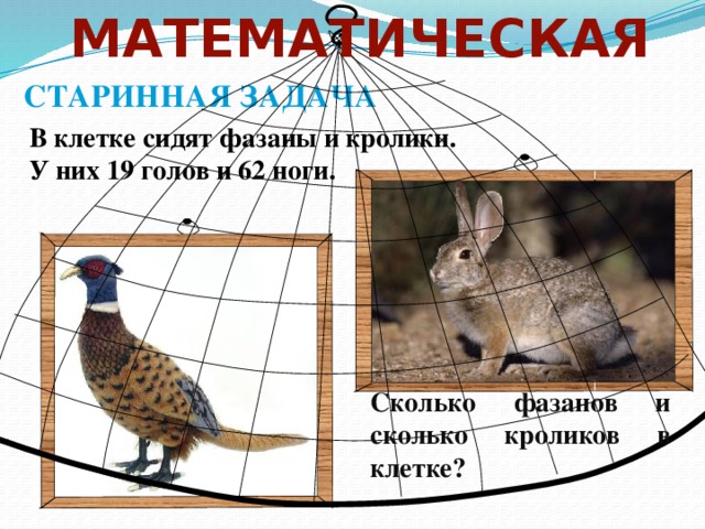 Схема слова фазан