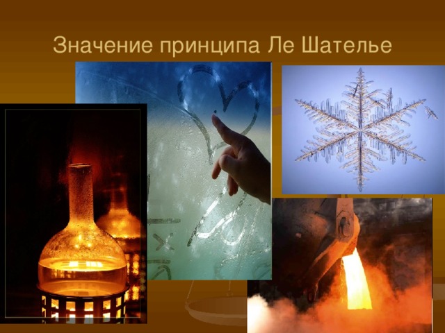 Значение принципа  Ле Шателье 