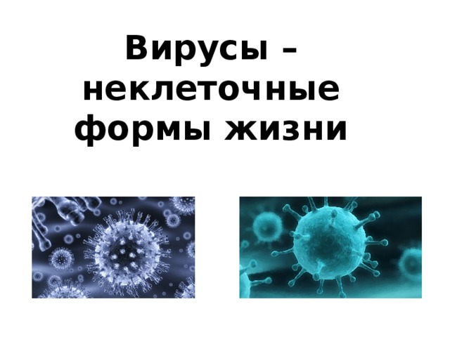 Вирусы – неклеточные формы жизни   