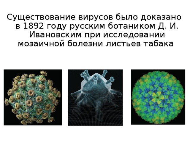 Существование вирусов было доказано в 1892 году русским ботаником Д. И. Ивановским при исследовании мозаичной болезни листьев табака 