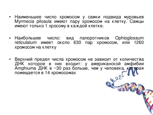 Наименьшее число хромосом у самки подвида муровьев Myrmecia pilosula имеют пару хромосом на клетку. Самцы имеют только 1 хросому в каждой клетке.  Наибольшее число: вид папоротников Ophioglossum reticulatum имеет около 630 пар хромосом, или 1260 хромосом на клетку  Верхний предел числа хромосом не зависит от количества ДНК которое в них входит: у американской амфибии Amphiuma ДНК в ~30 раз больше, чем у человека, которая помещается в 14 хромосомах 