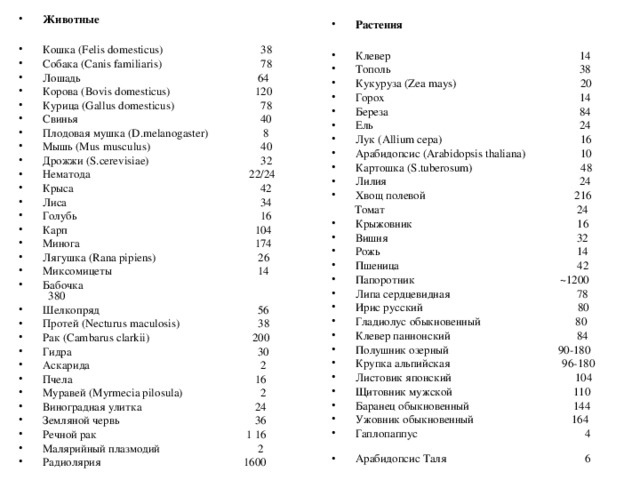 Животные  Кошка (Felis domesticus)  38 Собака (Canis familiaris)  78 Лошадь  64 Корова (Bovis domesticus)  120 Курица (Gallus domesticus)  78 Свинья  40   Плодовая мушка (D.melanogaster) 8 Мышь (Mus musculus)  40 Дрожжи (S.cerevisiae)  32 Нематода  22/24 Крыса  42 Лиса  34 Голубь  16 Карп  104 Минога  174 Лягушка (Rana pipiens)  26   Миксомицеты  14 Бабочка  380 Шелкопряд  56 Протей (Necturus maculosis)  38 Рак (Cambarus clarkii)  200 Гидра  30 Аскарида  2 Пчела  16 Муравей (Myrmecia pilosula)  2 Виноградная улитка  24 Земляной червь  36 Речной рак  1 16 Малярийный плазмодий  2 Радиолярия  1600 Растения    Клевер  14 Тополь  38 Кукуруза (Zea mays)  20 Горох  14 Береза  84 Ель  24 Лук (Allium cepa)  16 Арабидопсис (Arabidopsis thaliana) 10 Картошка (S.tuberosum)  48 Лилия  24 Хвощ полевой  216  Томат  24 Крыжовник  16 Вишня  32 Рожь  14 Пшеница  42 Папоротник  ~1200 Липа сердцевидная 78 Ирис русский 80 Гладиолус обыкновенный 80 Клевер паннонский 84 Полушник озерный 90-180 Крупка альпийская 96-180 Листовик японский 104 Щитовник мужской 110 Баранец обыкновенный 144 Ужовник обыкновенный 164 Гаплопаппус 4 Арабидопсис Таля 6  