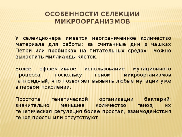 Особенности селекции микроорганизмов У селекционера имеется неограниченное количество материала для работы: за считанные дни в чашках Петри или пробирках на питательных средах можно вырастить миллиарды клеток. Более эффективное использование мутационного процесса, поскольку геном микроорганизмов гаплоидный, что позволяет выявить любые мутации уже в первом поколении. Простота генетической организации бактерий: значительно меньшее количество генов, их генетическая регуляция более простая, взаимодействия генов просты или отсутствуют. 