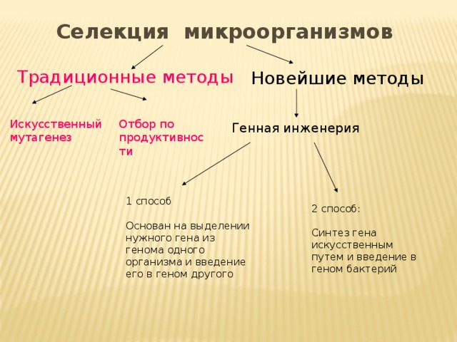 Селекция микроорганизмов проект