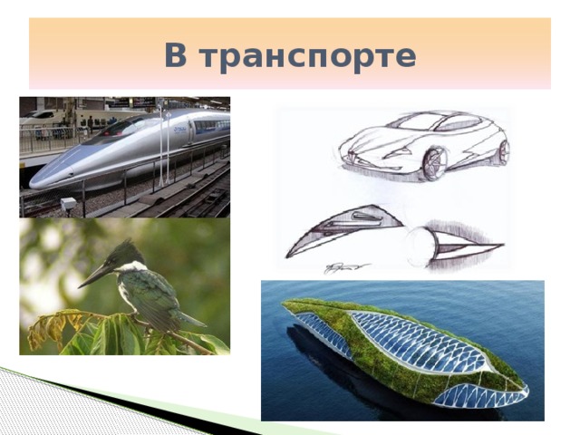 Дайте описание по рисункам как используются биологические модели бионика в технике