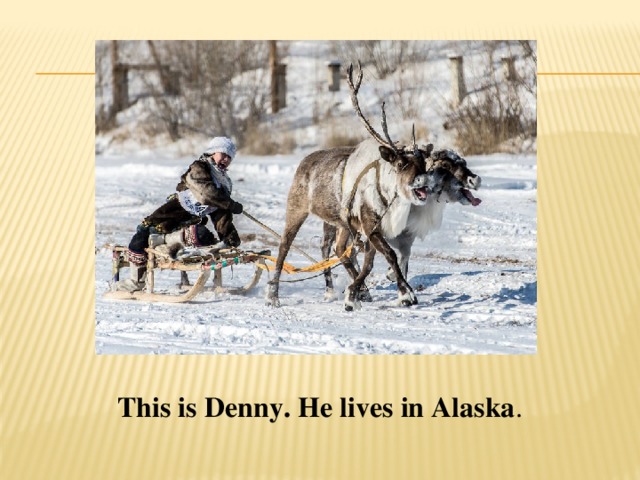This is Denny. He lives in Alaska . 