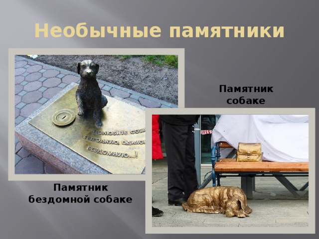 Необычные памятники Памятник собаке    Памятник бездомной собаке    