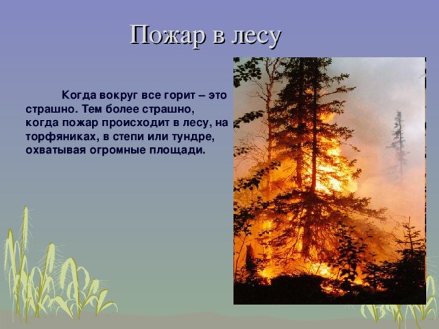 Пожар в лесу   Когда вокруг все горит – это страшно. Тем более страшно, когда пожар происходит в лесу, на торфяниках, в степи или тундре, охватывая огромные площади.   