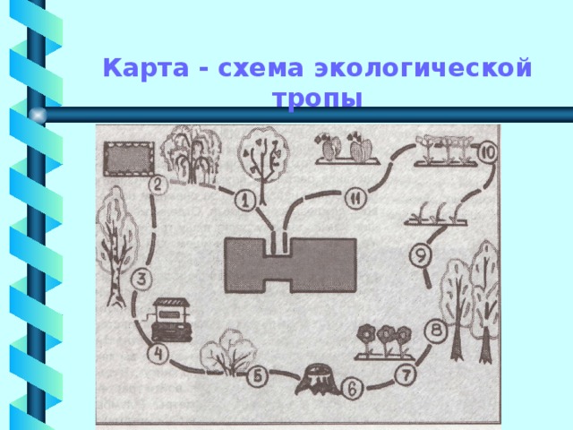 Экологическая тропа в детском саду схема с обозначениями