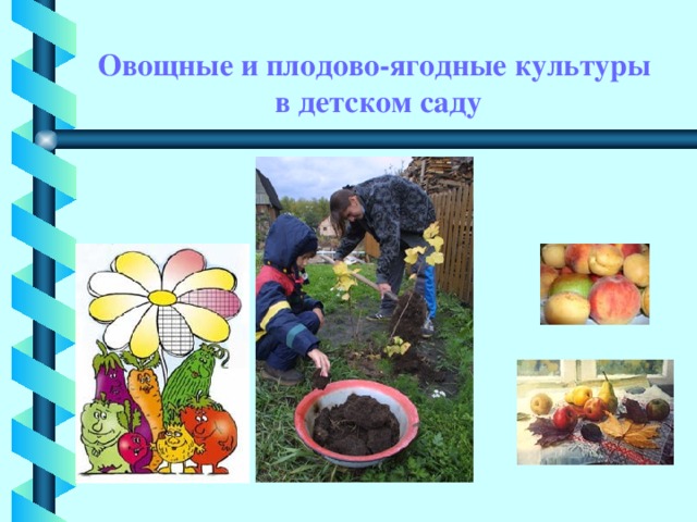 Экологическая тропа в детском саду презентация