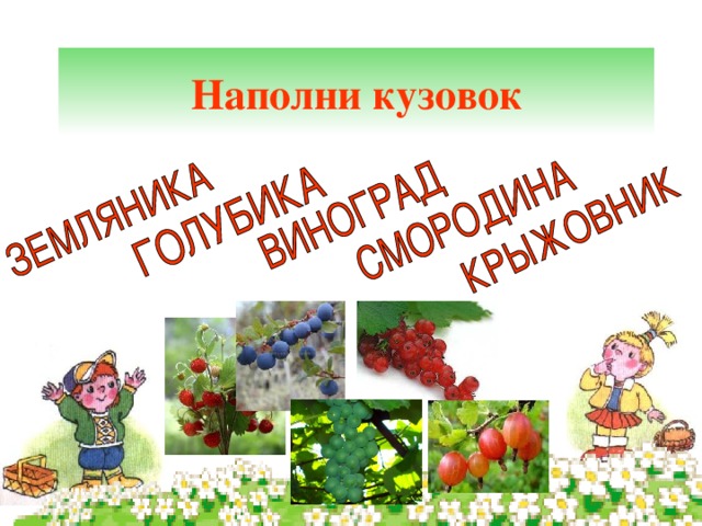 Наполни кузовок 