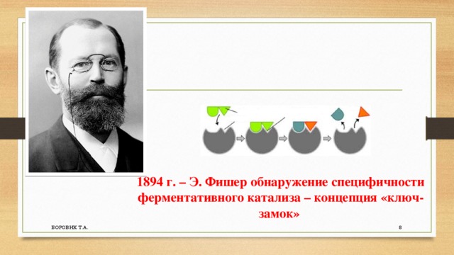 Теория фишера и кошланда. Теория Фишера ключ-замок. Гипотеза Фишера и Кошланда. Ключ замок ферменты.