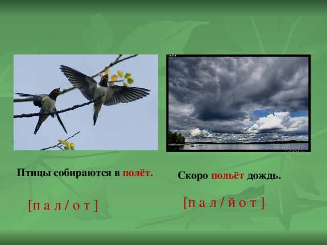 Птицы собираются. Птицы собираются в полет. Полёт польёт. Скоро полёт. Скоро польет дождь.