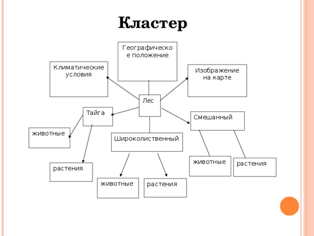 Схема 9 класс