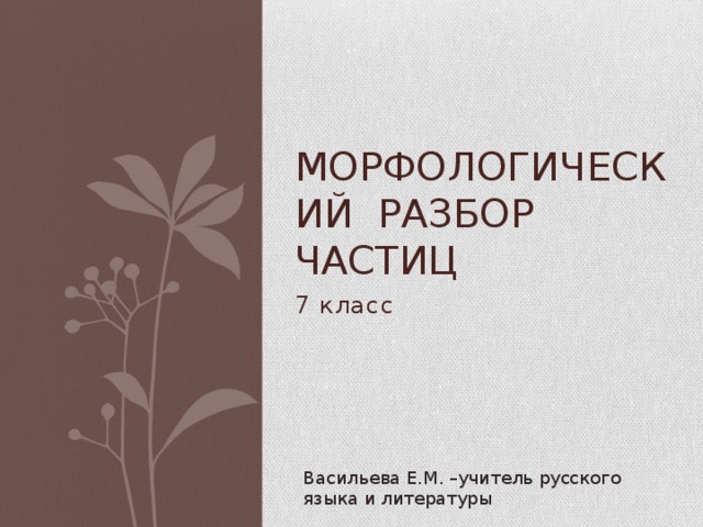 Морфологический разбор частиц 7 класс Васильева Е.М. –учитель русского языка и литературы 