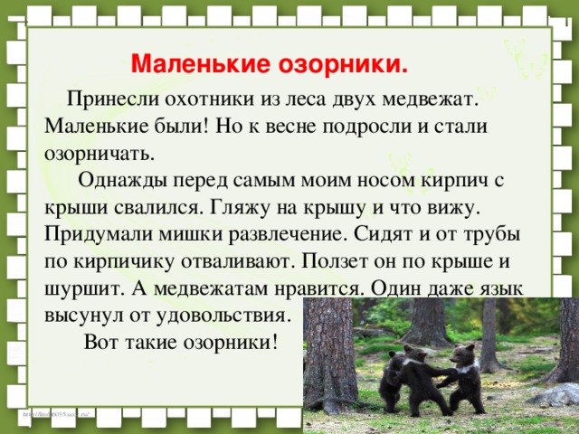 2 медведя план