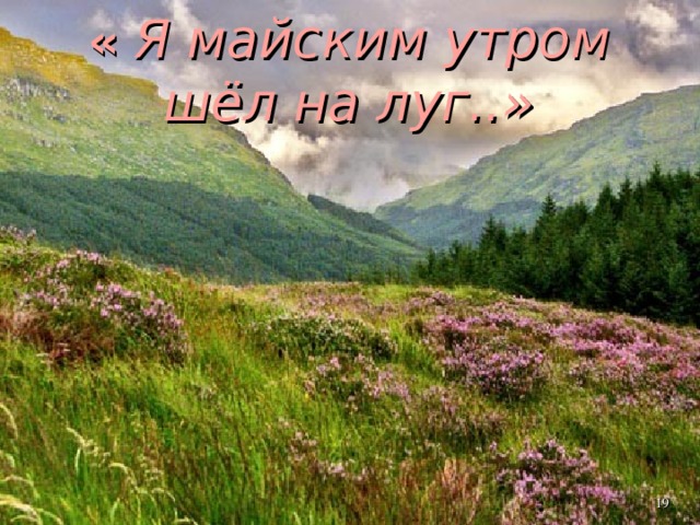 « Я майским утром шёл на луг..»