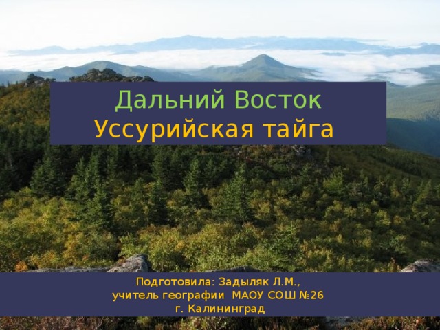 Презентация уссурийская тайга география 8 класс