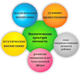 Воспитание личности в культуре. Экологическая культура личности. Воспитание экологической культуры личности. Экологическая культура педагога. Экологическая культура схема.