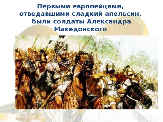 Первыми европейцами,  отведавшими сладкий апельсин,  были солдаты Александра Македонского    
