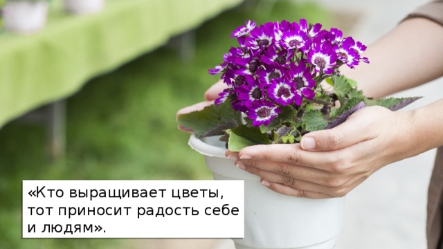 «Кто выращивает цветы, тот приносит радость себе и людям». 