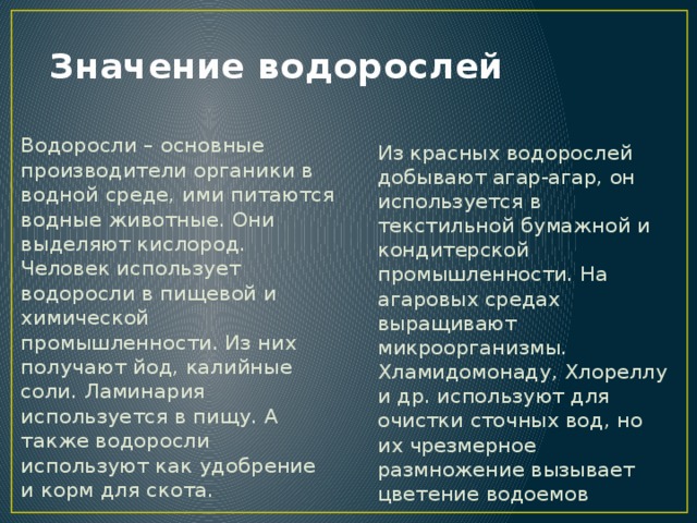 Значение и использование водорослей схема