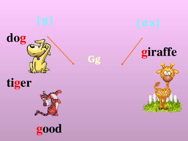 [g] [dз] do g    ti g er  g iraffe Gg g ood 