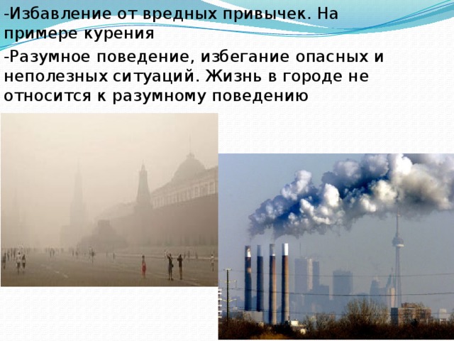 -Избавление от вредных привычек. На примере курения -Разумное поведение, избегание опасных и неполезных ситуаций. Жизнь в городе не относится к разумному поведению 