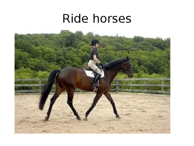 Ride horses 