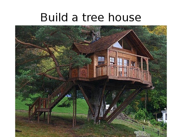Build a tree house 