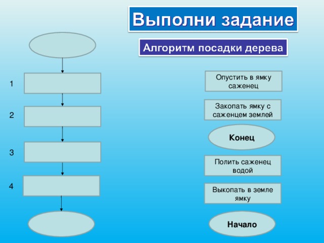 Расставь команды на схеме алгоритма помой персики