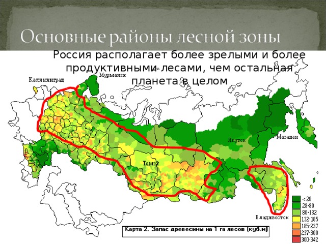 Россия располагает более зрелыми и более продуктивными лесами, чем остальная планета в целом 