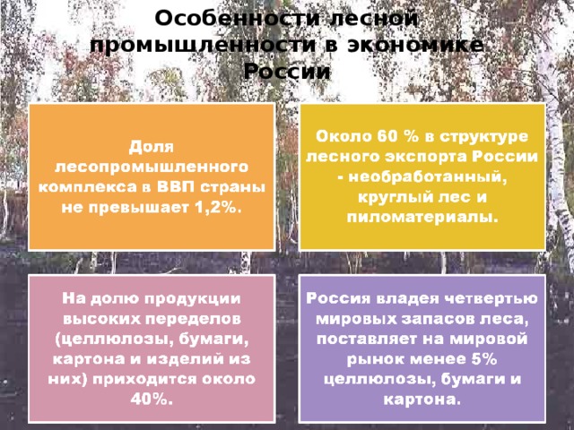 Особенности лесной промышленности в экономике России 