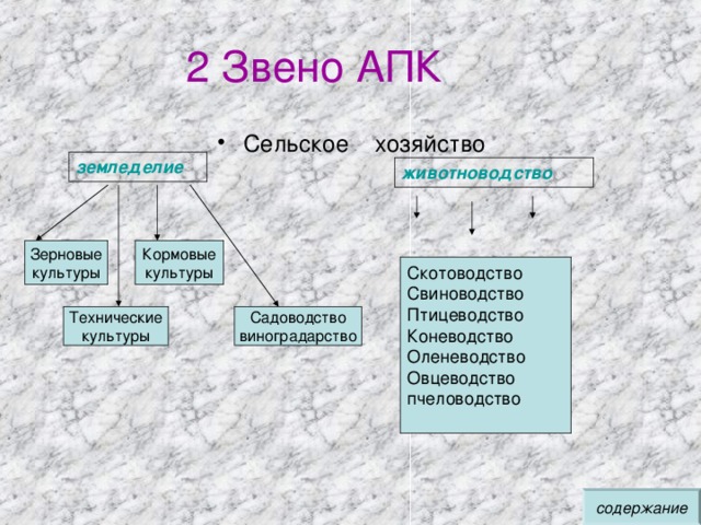 2 Звено АПК Сельское хозяйство земледелие животноводство Зерновые культуры Кормовые культуры Садоводство виноградарство Технические культуры содержание 