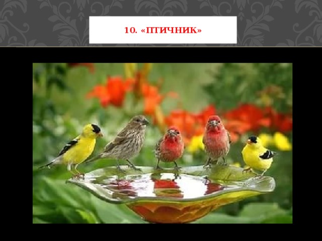 10. «Птичник» 