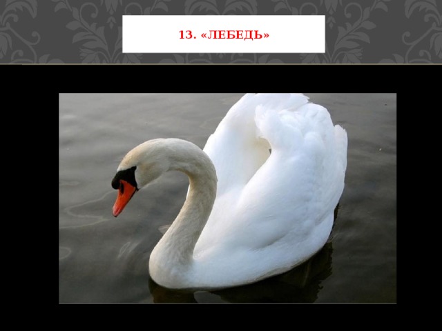 13. «Лебедь» 