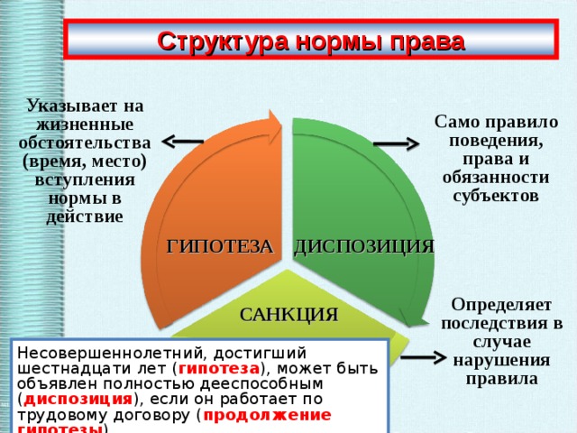 Структура нормы права Указывает на жизненные обстоятельства (время, место) вступления нормы в действие Само правило поведения, права и обязанности субъектов ДИСПОЗИЦИЯ ГИПОТЕЗА Определяет последствия в случае нарушения правила САНКЦИЯ Несовершеннолетний, достигший шестнадцати лет ( гипотеза ), может быть объявлен полностью дееспособным ( диспозиция ), если он работает по трудовому договору ( продолжение гипотезы )  