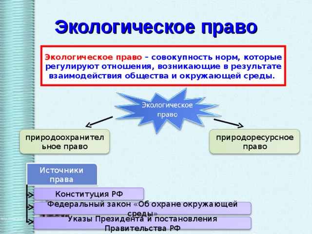 План по обществу экологическое право