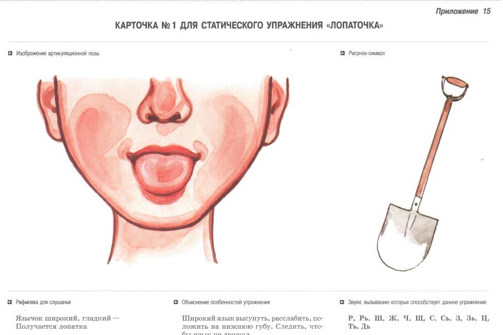 картинки артикуляционные карточки прилегающей территории включает