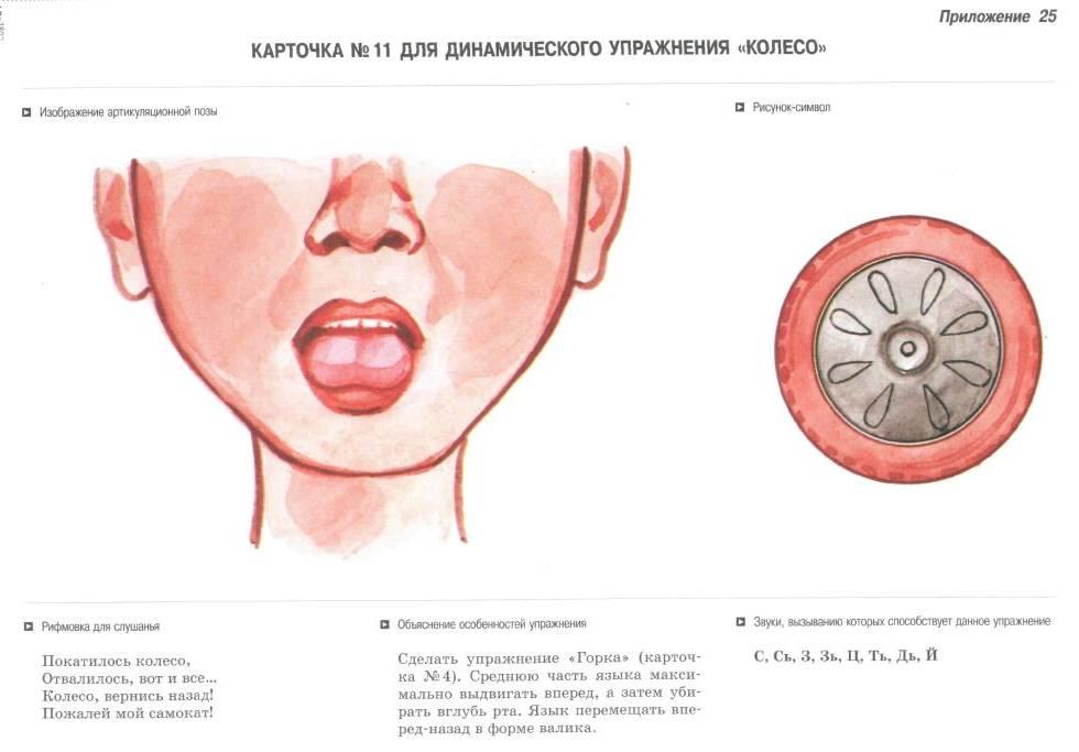 Артикуляционная гимнастика ткаченко в картинках