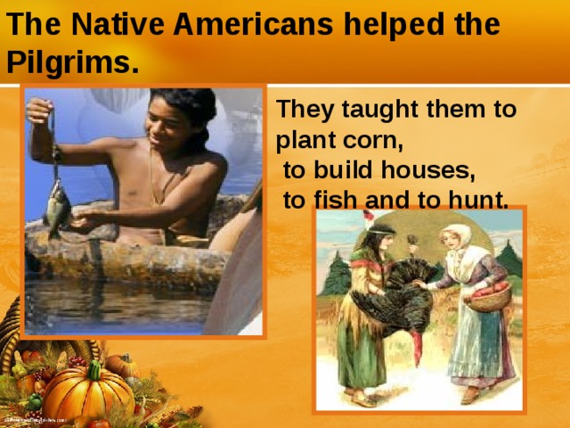 The Native Americans helped the Pilgrims. They taught them to plant corn,  to build houses,  to fish and to hunt.
