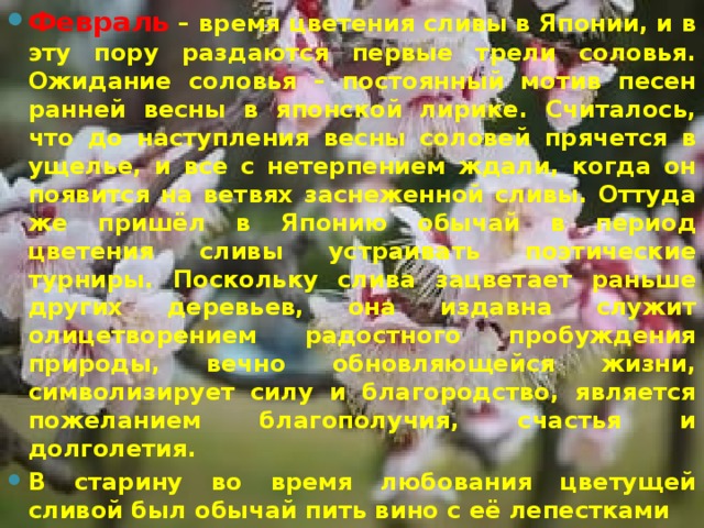 Февраль – время цветения сливы в Японии, и в эту пору раздаются первые трели соловья. Ожидание соловья – постоянный мотив песен ранней весны в японской лирике. Считалось, что до наступления весны соловей прячется в ущелье, и все с нетерпением ждали, когда он появится на ветвях заснеженной сливы. Оттуда же пришёл в Японию обычай в период цветения сливы устраивать поэтические турниры. Поскольку слива зацветает раньше других деревьев, она издавна служит олицетворением радостного пробуждения природы, вечно обновляющейся жизни, символизирует силу и благородство, является пожеланием благополучия, счастья и долголетия. В старину во время любования цветущей сливой был обычай пить вино с её лепестками  