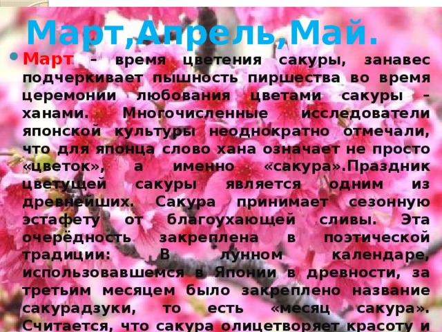 Март,Апрель,Май. Март – время цветения сакуры, занавес подчеркивает пышность пиршества во время церемонии любования цветами сакуры – ханами. Многочисленные исследователи японской культуры неоднократно отмечали, что для японца слово хана означает не просто «цветок», а именно «сакура».Праздник цветущей сакуры является одним из древнейших. Сакура принимает сезонную эстафету от благоухающей сливы. Эта очерёдность закреплена в поэтической традиции: В лунном календаре, использовавшемся в Японии в древности, за третьим месяцем было закреплено название сакурадзуки, то есть «месяц сакура».  Считается, что сакура олицетворяет красоту и безупречность благодаря исключительной кратковременности своего цветения – оно длится всего несколько дней, а иногда лишь несколько часов.    