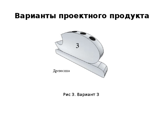 Варианты проектного продукта Рис 3. Вариант 3 