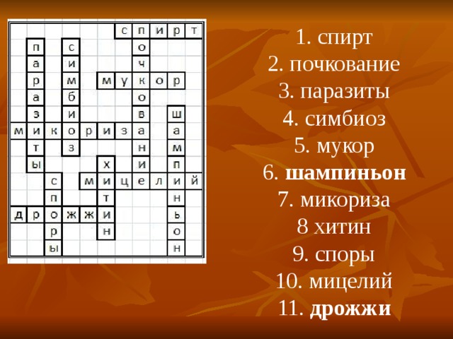 1. спирт 2. почкование 3. паразиты 4. симбиоз 5. мукор 6.  шампиньон 7. микориза 8 хитин 9. споры 10. мицелий 11.  дрожжи 