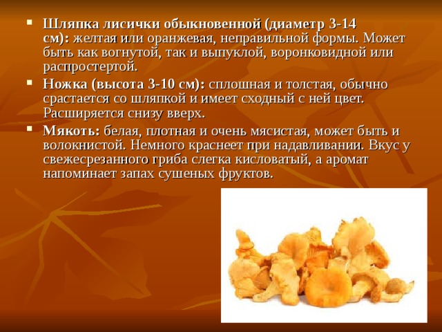 Шляпка лисички обыкновенной (диаметр 3-14 см):  желтая или оранжевая, неправильной формы. Может быть как вогнутой, так и выпуклой, воронковидной или распростертой. Ножка (высота 3-10 см):  сплошная и толстая, обычно срастается со шляпкой и имеет сходный с ней цвет. Расширяется снизу вверх. Мякоть:  белая, плотная и очень мясистая, может быть и волокнистой. Немного краснеет при надавливании. Вкус у свежесрезанного гриба слегка кисловатый, а аромат напоминает запах сушеных фруктов. 