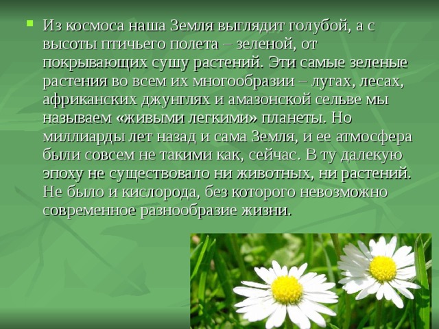 Почему трава зеленая. Если бы не было растений рассказ. Если бы на земле не было растений. Что было бы если не было растений на земле. Земля если не было растений.