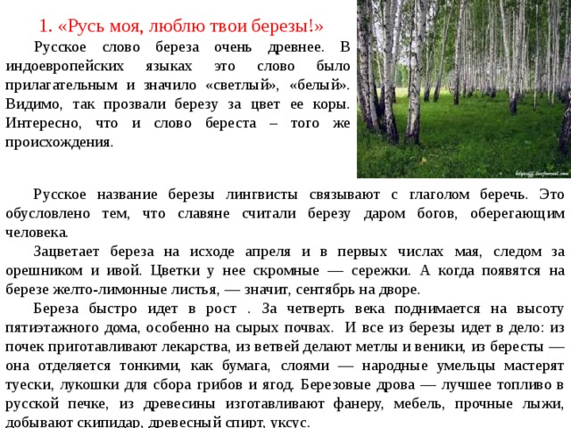 Урок по русскому языку и литературе по теме : Образ березы в русской поэзии. Ком