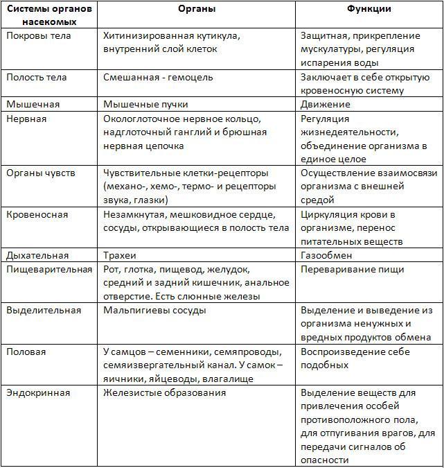 Таблица по биологии 7 класс отряды насекомых